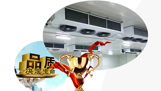 事實勝于雄辯，服務創造價值